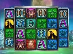 Wild Flower Slots